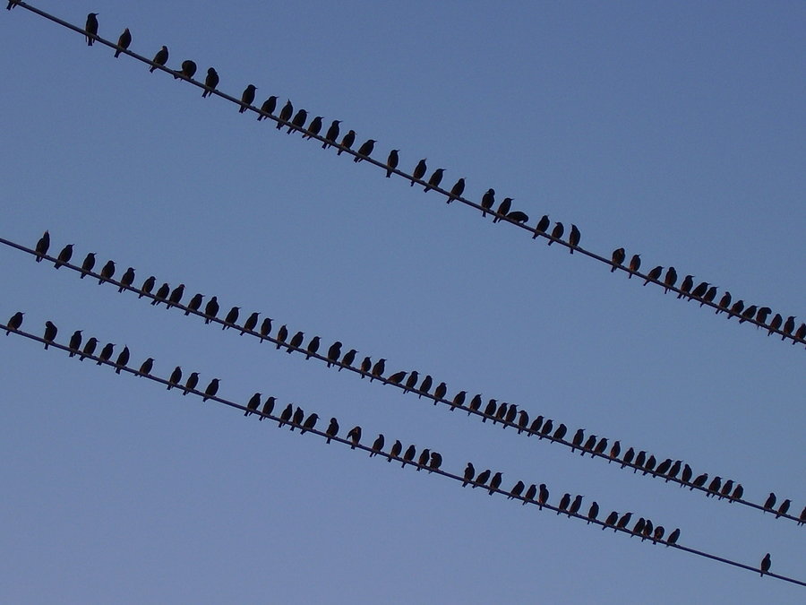 That one there is a jerk. You know which one.