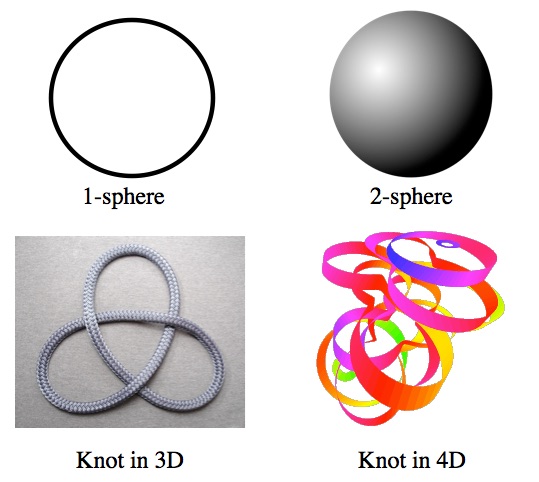 An N-sphere can be tied in knots in N+2 dimensions. 1-spheres can be tied in knots in three dimensions (they're call)